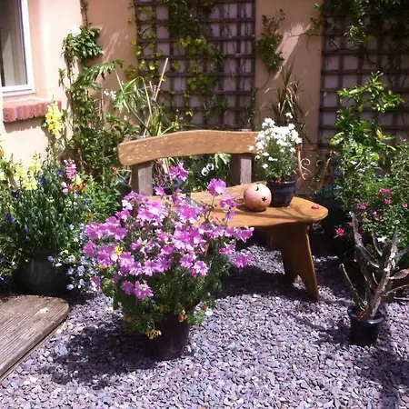 Driftwood Country Hostel Skibbereen