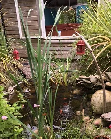 Hostel Driftwood Country Skibbereen