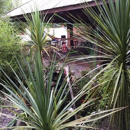 Hostel Driftwood Country